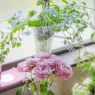 気軽に楽しむ！花や小物を玄関に取り入れるアイデア